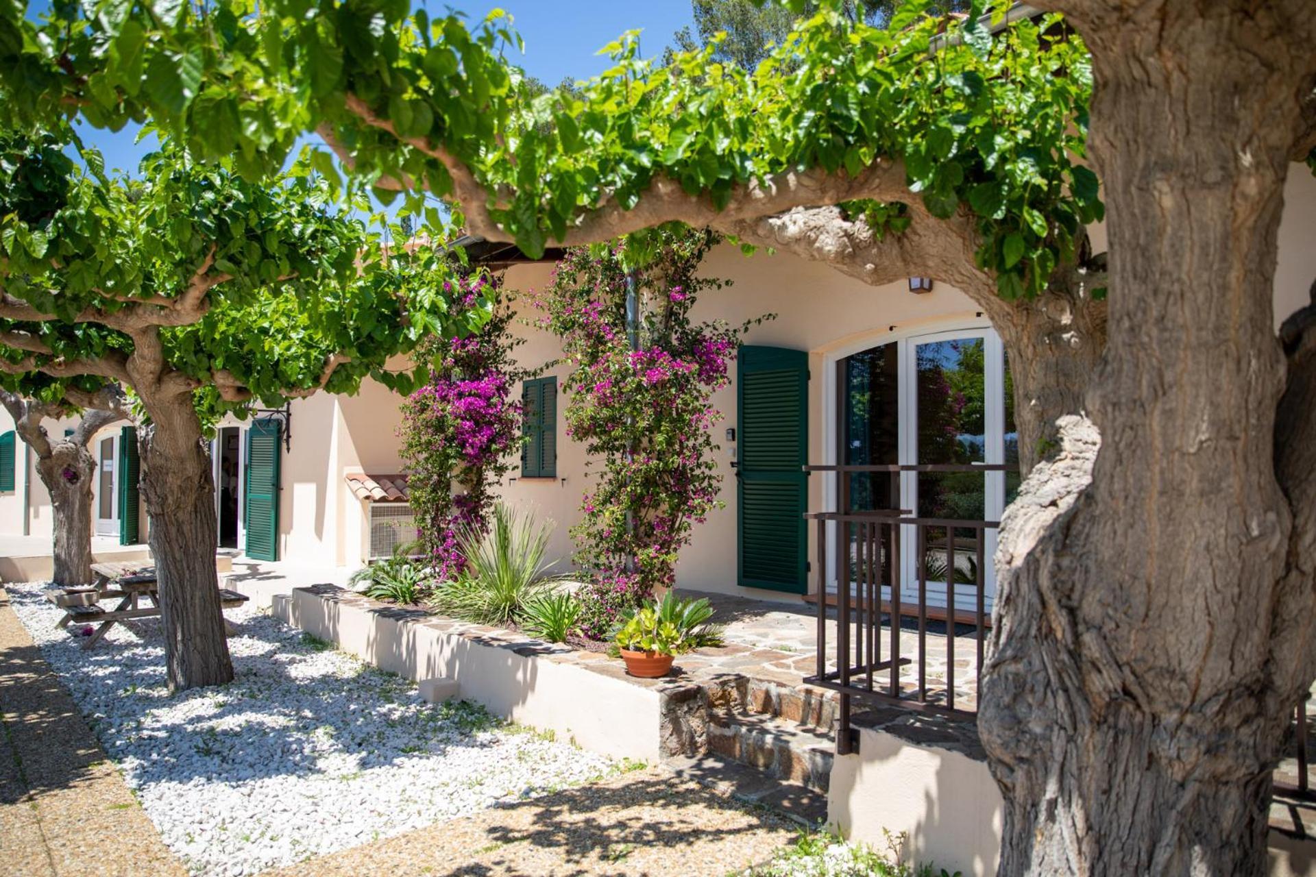 Villa Domaine De La Navicelle - Syrah à Le Pradet Extérieur photo