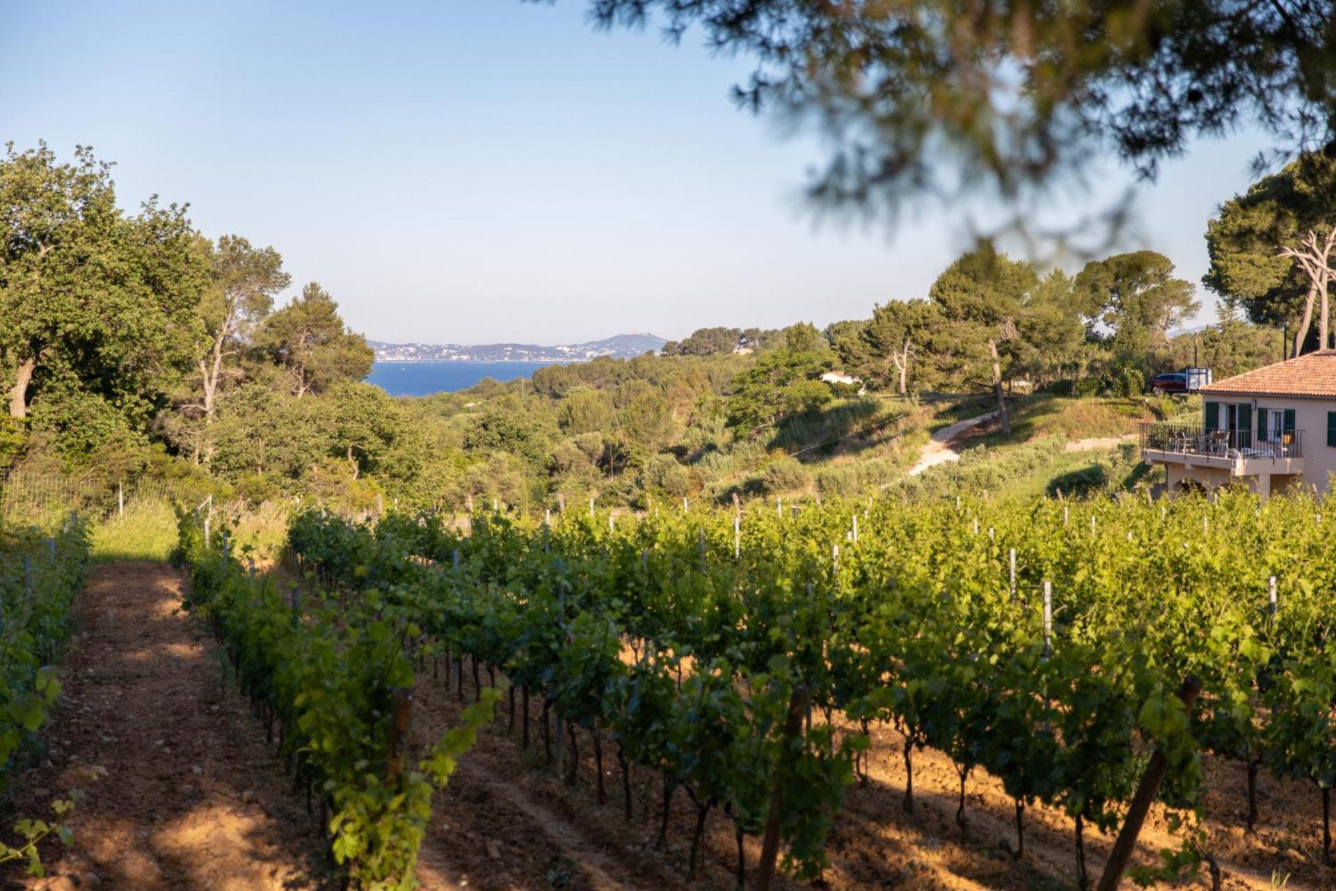 Villa Domaine De La Navicelle - Syrah à Le Pradet Extérieur photo