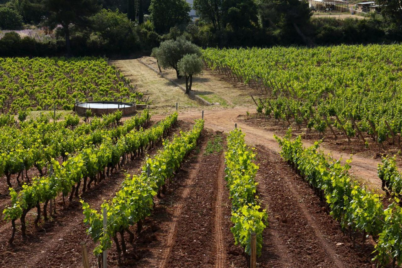 Villa Domaine De La Navicelle - Syrah à Le Pradet Extérieur photo