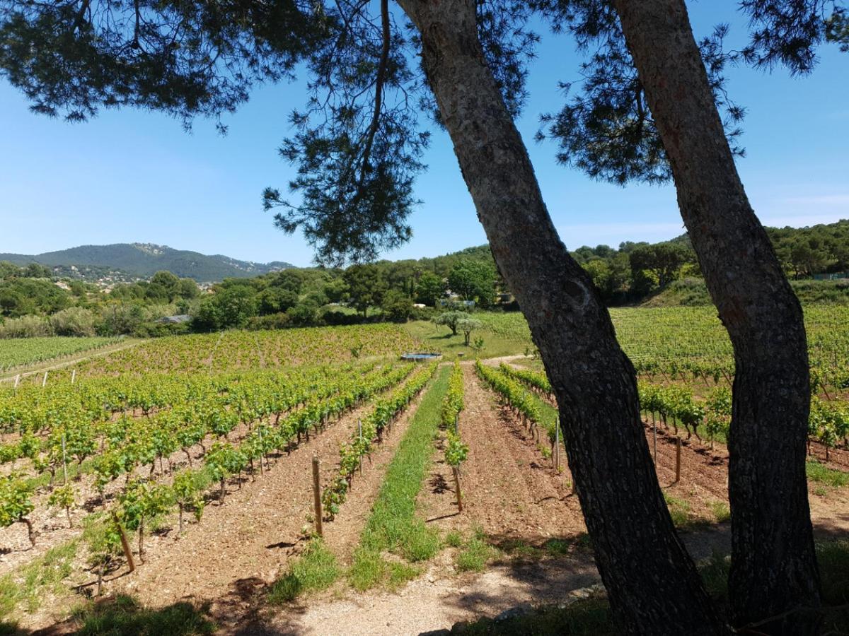 Villa Domaine De La Navicelle - Syrah à Le Pradet Extérieur photo