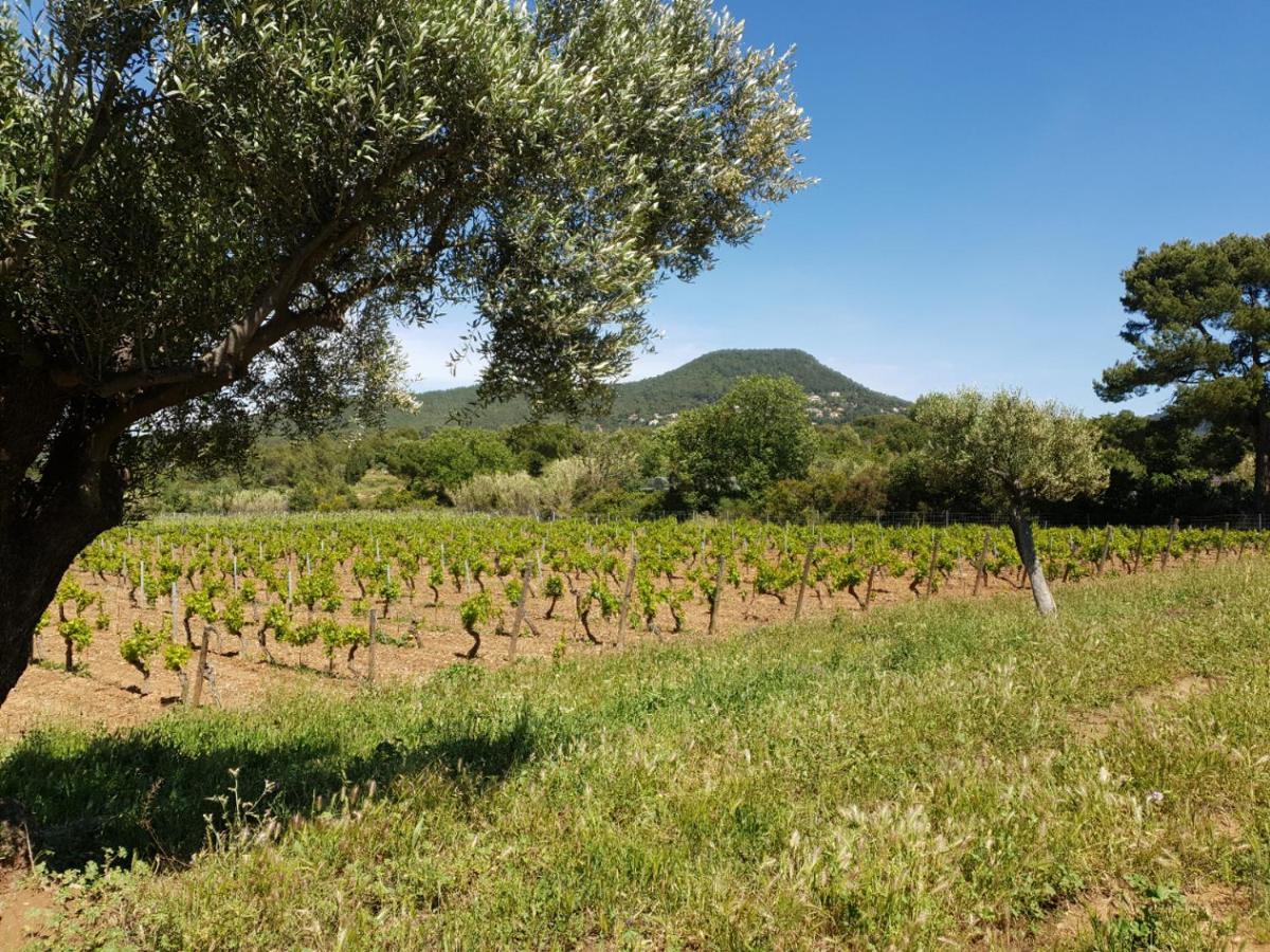 Villa Domaine De La Navicelle - Syrah à Le Pradet Extérieur photo